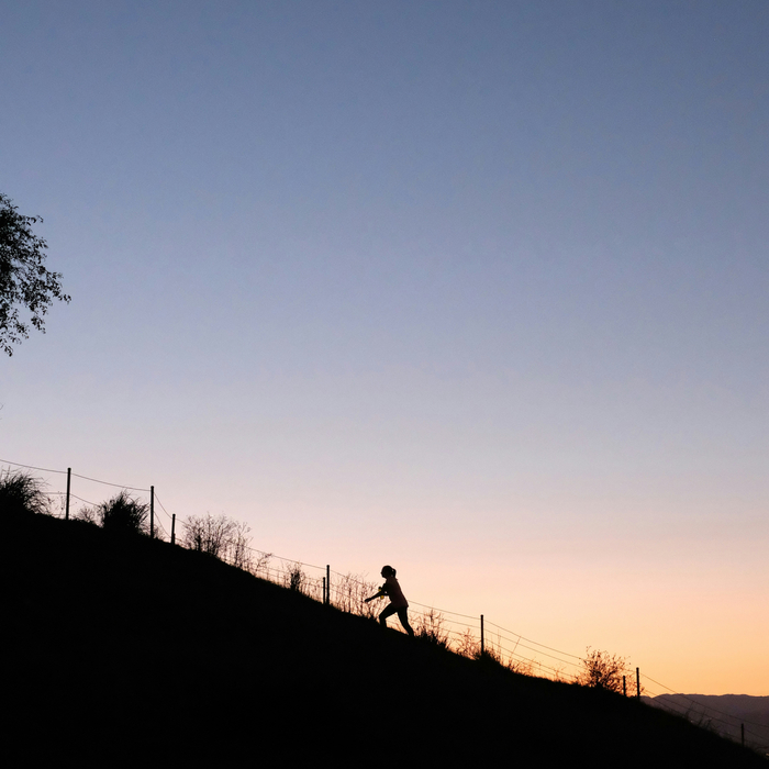 Enduring Strength: A Progressive, Rhythmic, and Sustainable Low-Load Resistance Program for Lifelong Health and Resilience
